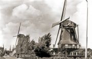 molen13