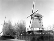 molen14