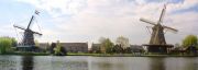 pano2005-