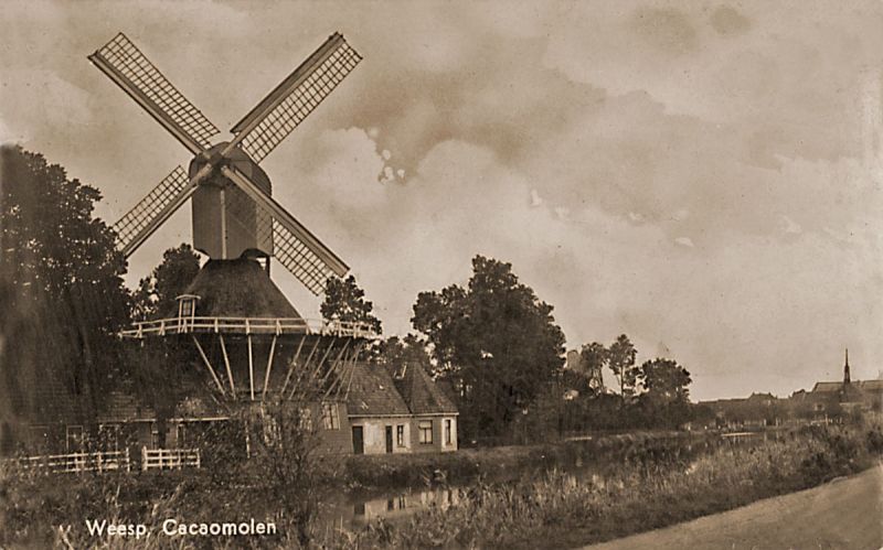 hmolen08